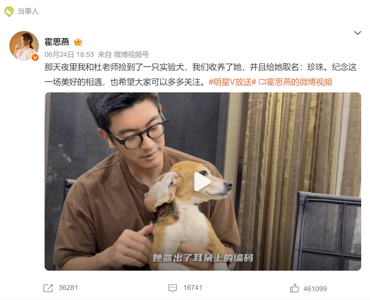 动物试验丨90%以上的比格犬被用于试验，这就是原因
