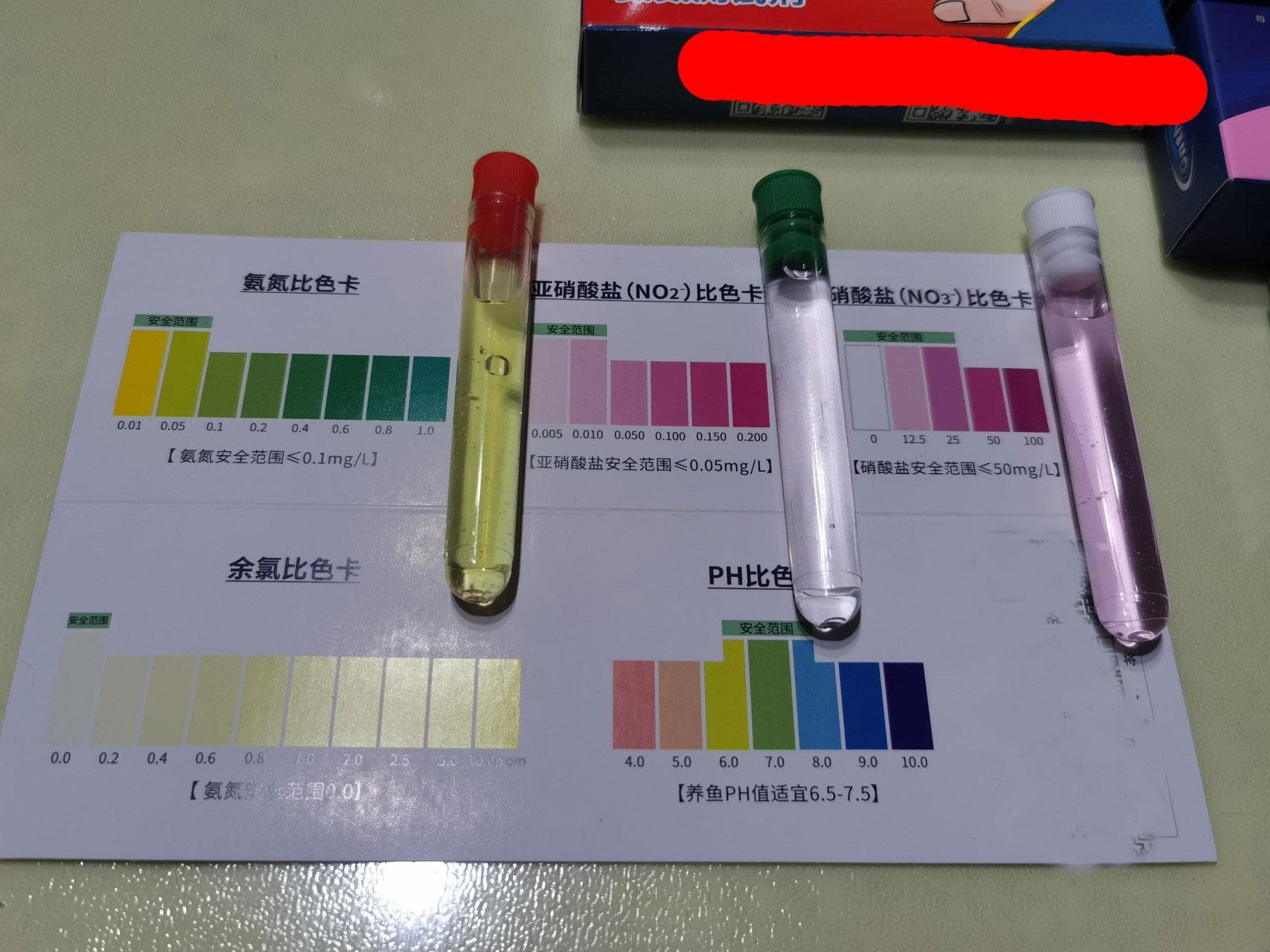 鱼缸硝酸盐过高怎么办？三种实用解决方案详解