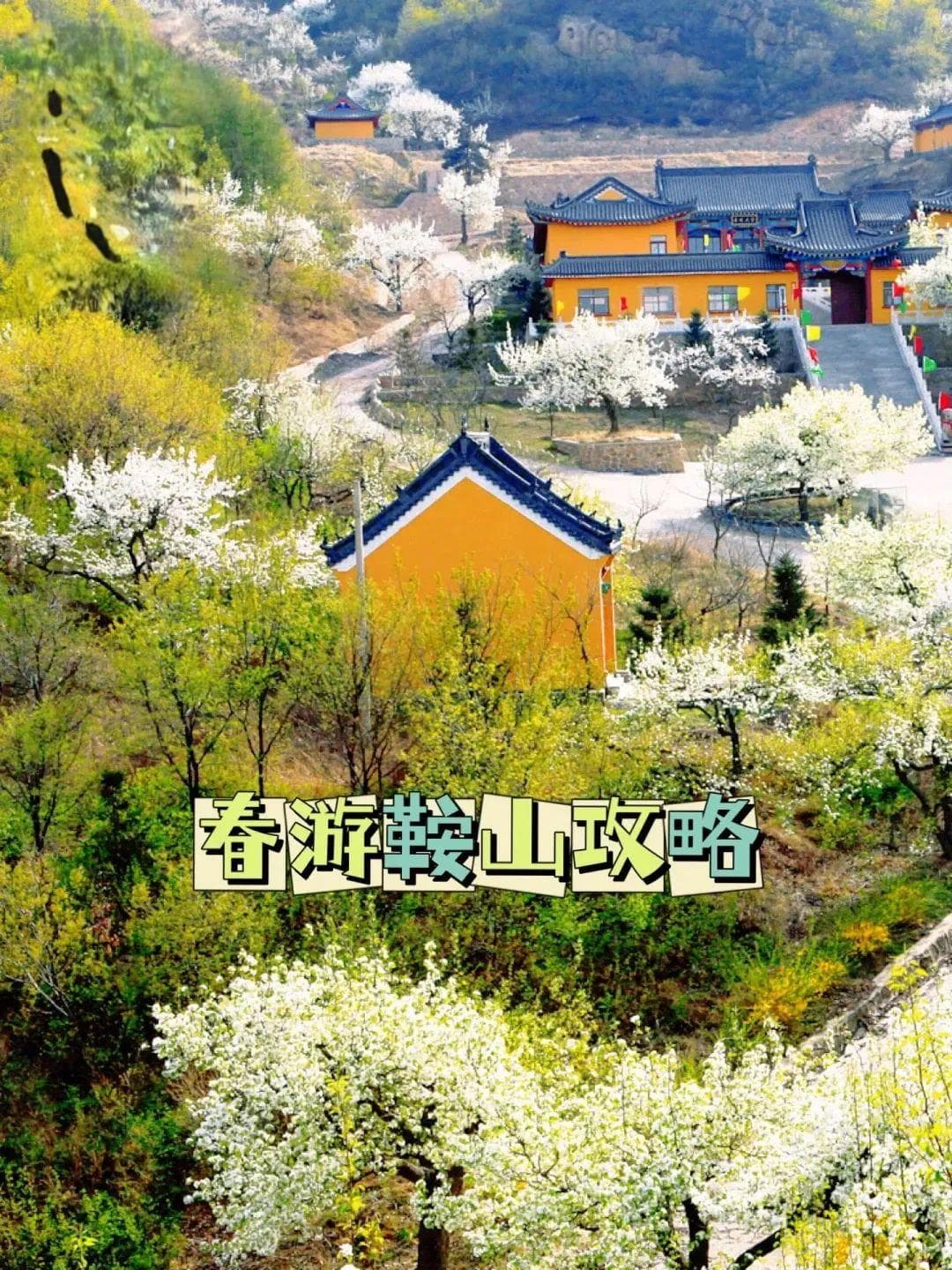 【美丽鞍山】C位鞍山，玩点儿花的