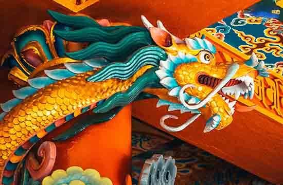 属龙的人五行属什么
