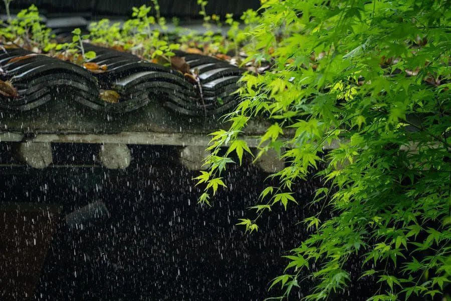 正气不足，人体就容易生病