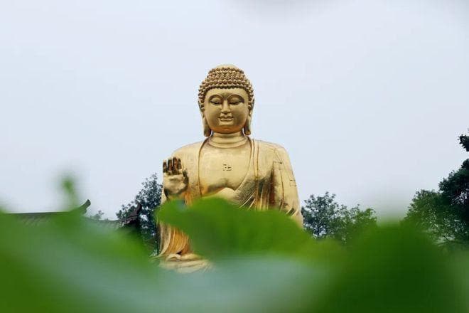 佛教知识 | 佛陀最初的教法——四圣谛