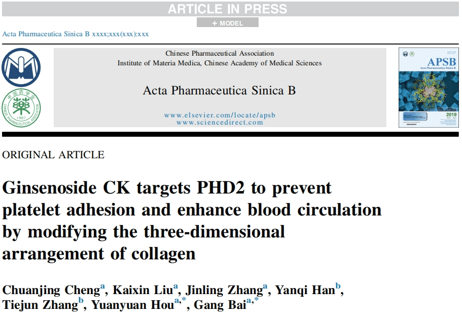 南开大学最新研究：人参皂苷CK精准打击PHD2，颠覆性抑制血栓生成！