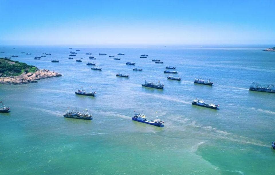 八闽大地这个季节的福建霞浦海鲜，赞！爆！了！，这个季节有哪些海鲜？