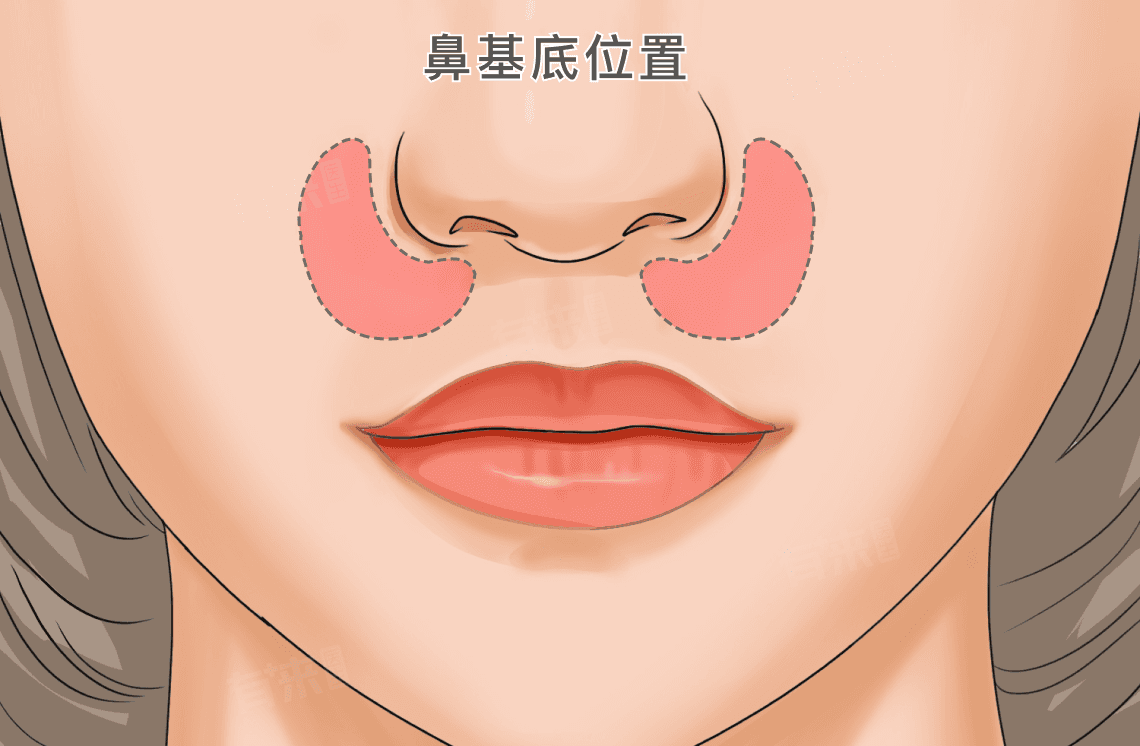 鼻基底是哪里