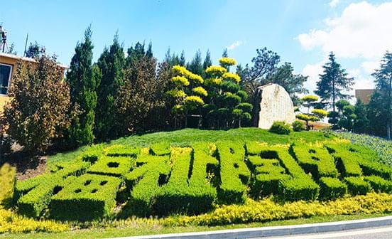 缅怀逝者，寄托哀思的庄严仪式