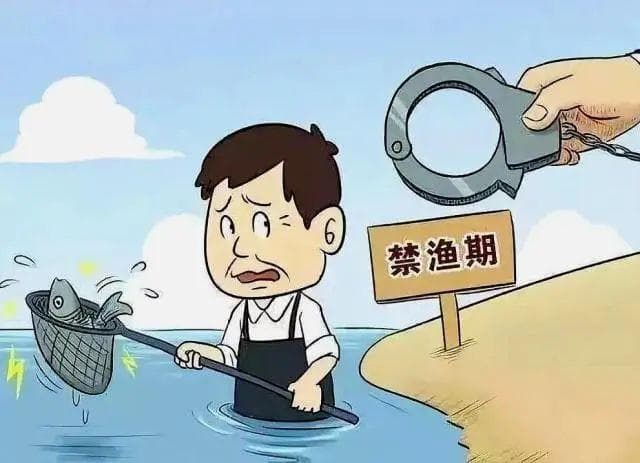 鱼入“渔网” 人入“法网”