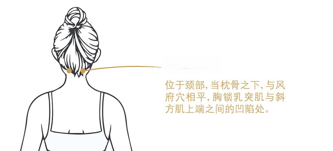 头晕目眩、记忆力下降？三个中医方法助你改善脑供血