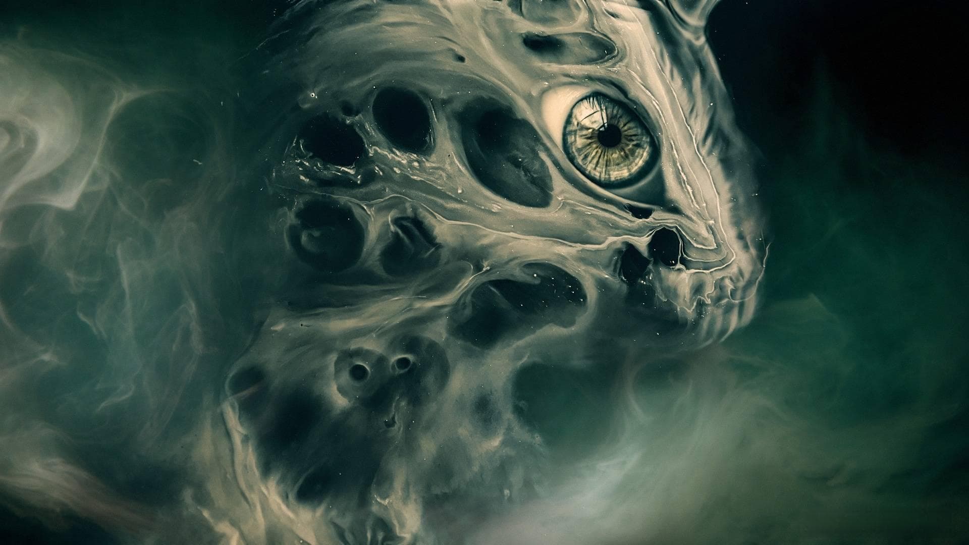 盘点5种科学上可能的外星生命形式