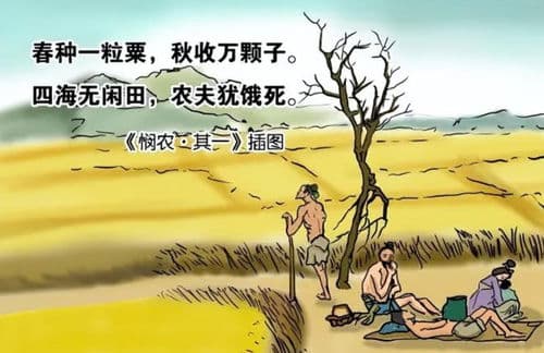 直击心灵！感受《悯农》古诗的深情厚意