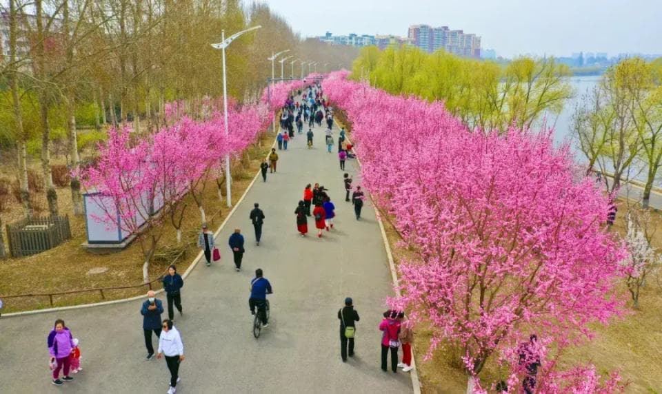 收好这份「吉林省赏花地图」，赴一场春花盛宴！