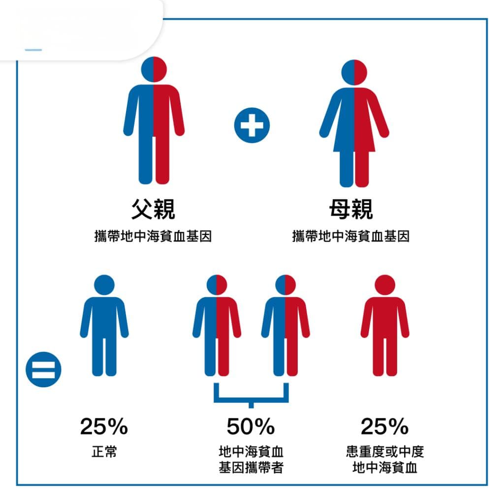 婚前检查必知：5大健康隐患排查和4大注意事项