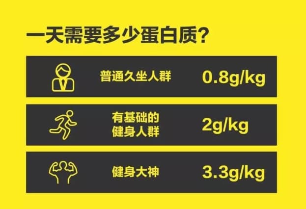 蛋白质的重要性：你摄入足够了吗？