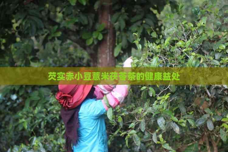 芡实赤小豆薏米茯苓茶的健康益处