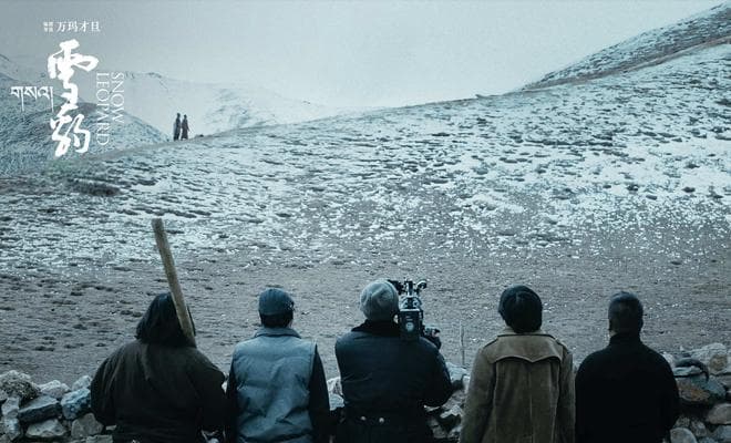 《雪豹》：多重视点下的悲悯与敬畏