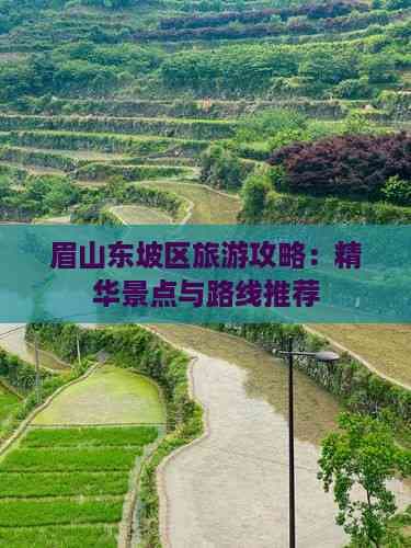 眉山东坡区旅游攻略：精华景点与路线推荐