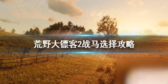 荒野大镖客2战马选择攻略：四种马种特点详解