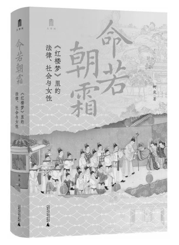 解读《红楼梦》中角色的法律困境