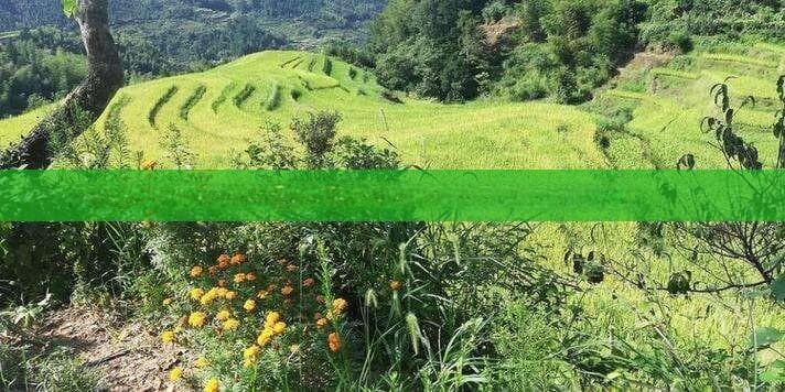 郑州到西藏沿途风景自驾游攻略：路线规划与景点介绍