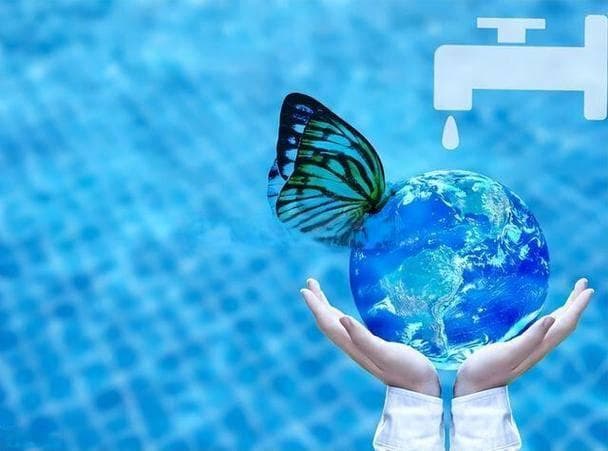 地球水资源：保护与合理利用的重要性