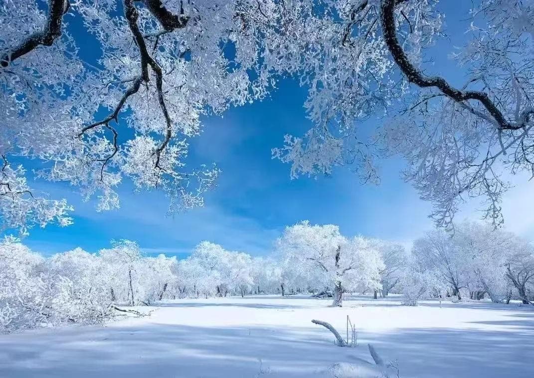 余秀华诗歌赏析：《渴望一场大雪》