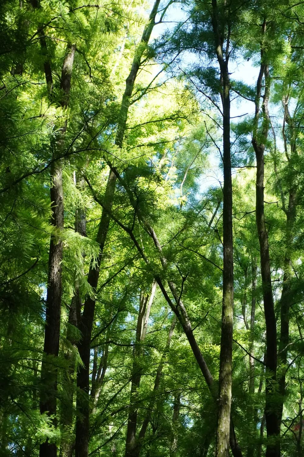 青岛北站旅游攻略：江南水乡与伊斯兰风情的奇妙相遇