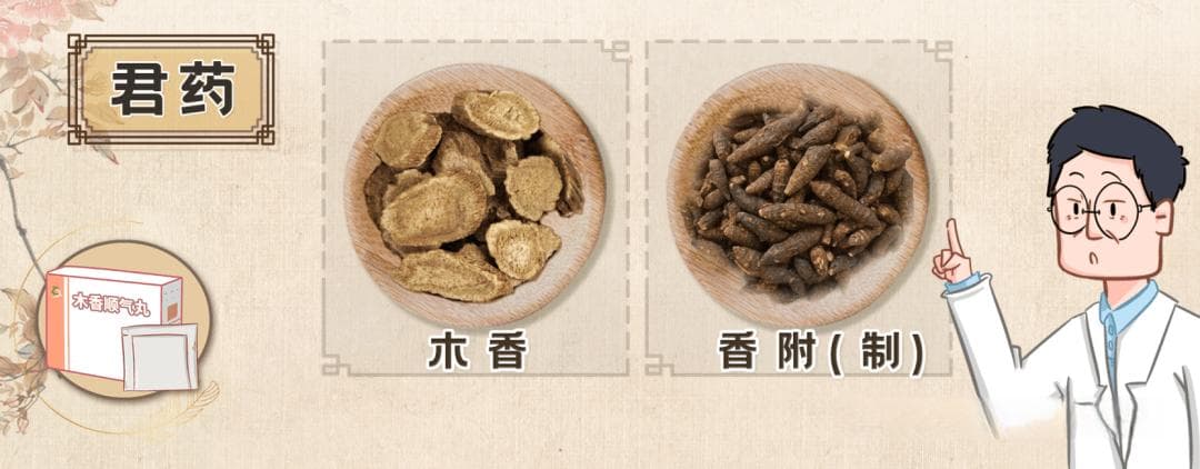 木香顺气丸：传统理气剂的组成、功效与使用禁忌