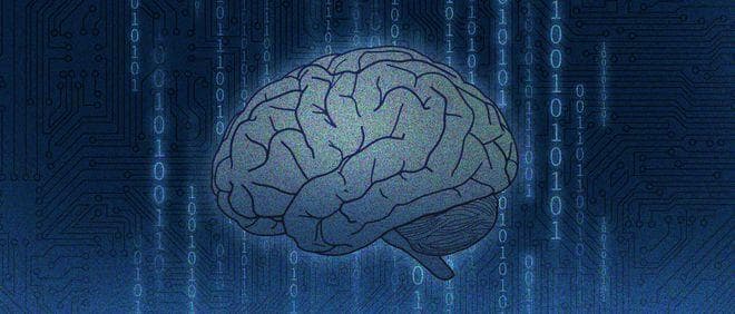NeuroAI：人工智能的“新脑回路”