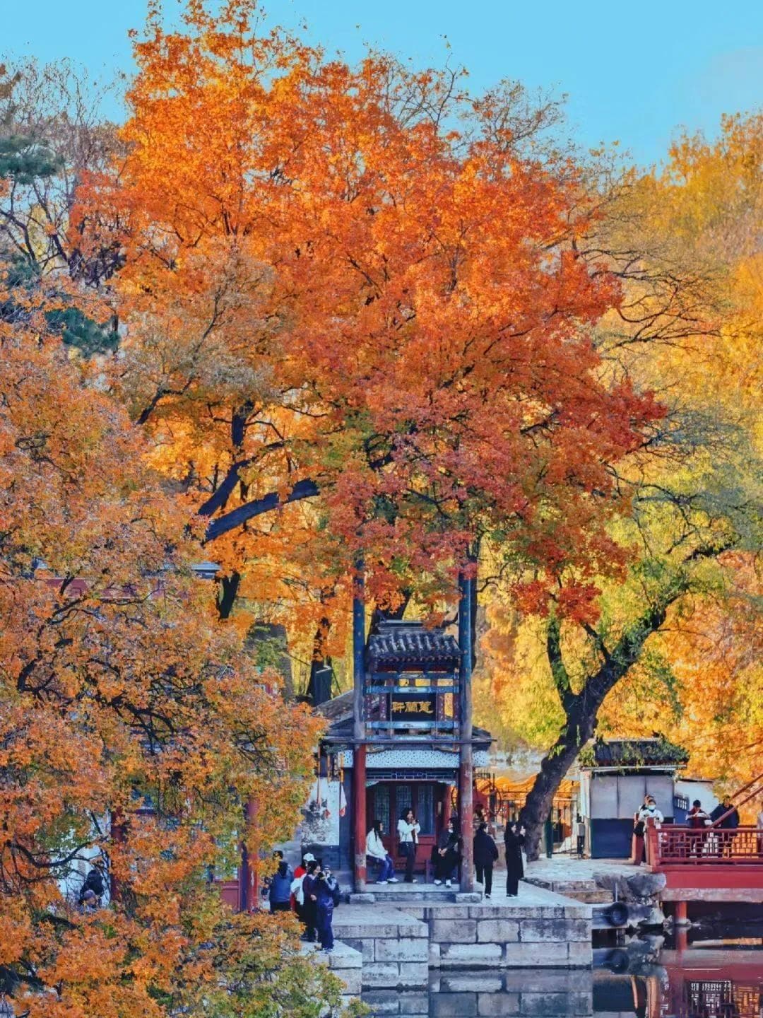 周末到哪去？秋天北京旅游指南→