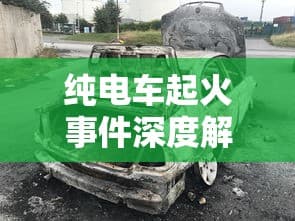 纯电车起火事件深度解析，涉及车型与原因的探讨及应对之道