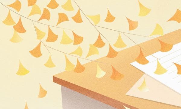 学号和学籍号的区别及查询方法