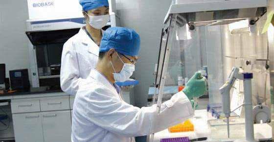 婴儿食物不耐受的表现与应对策略
