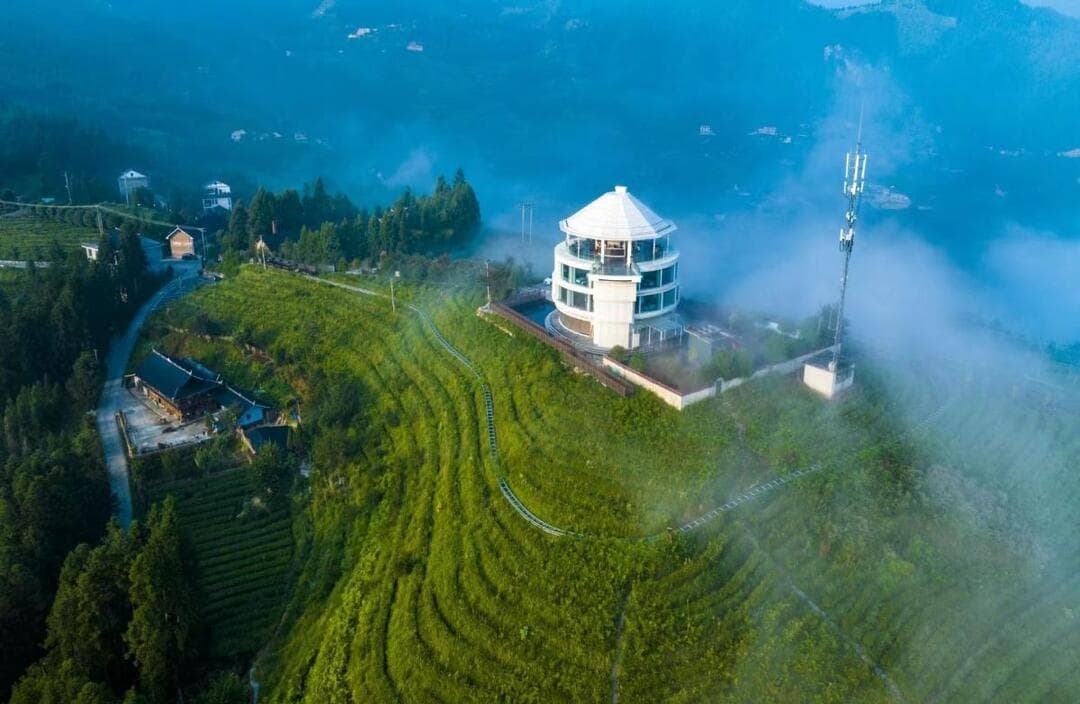 新化县：以“茶寿”品牌引领茶产业高质量发展