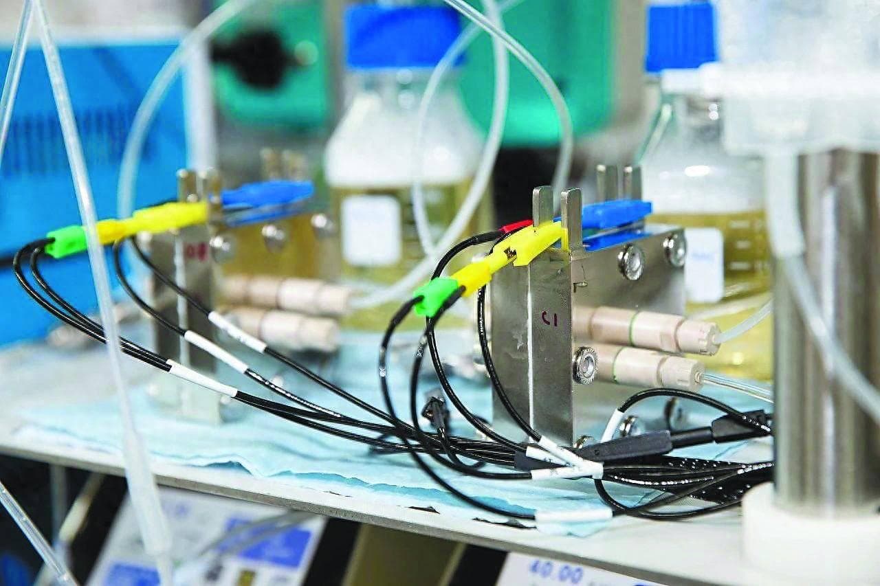 科学研究的魅力：有一扇通往自由王国的门叫“偶然”