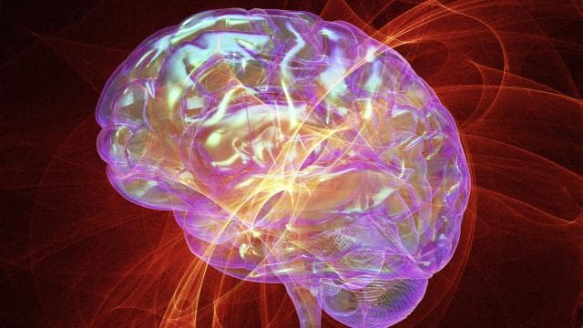研究：人大脑死亡后仍有"意识"存在