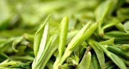 阿里山茶：高山云雾孕育的台湾名茶，从历史走向世界