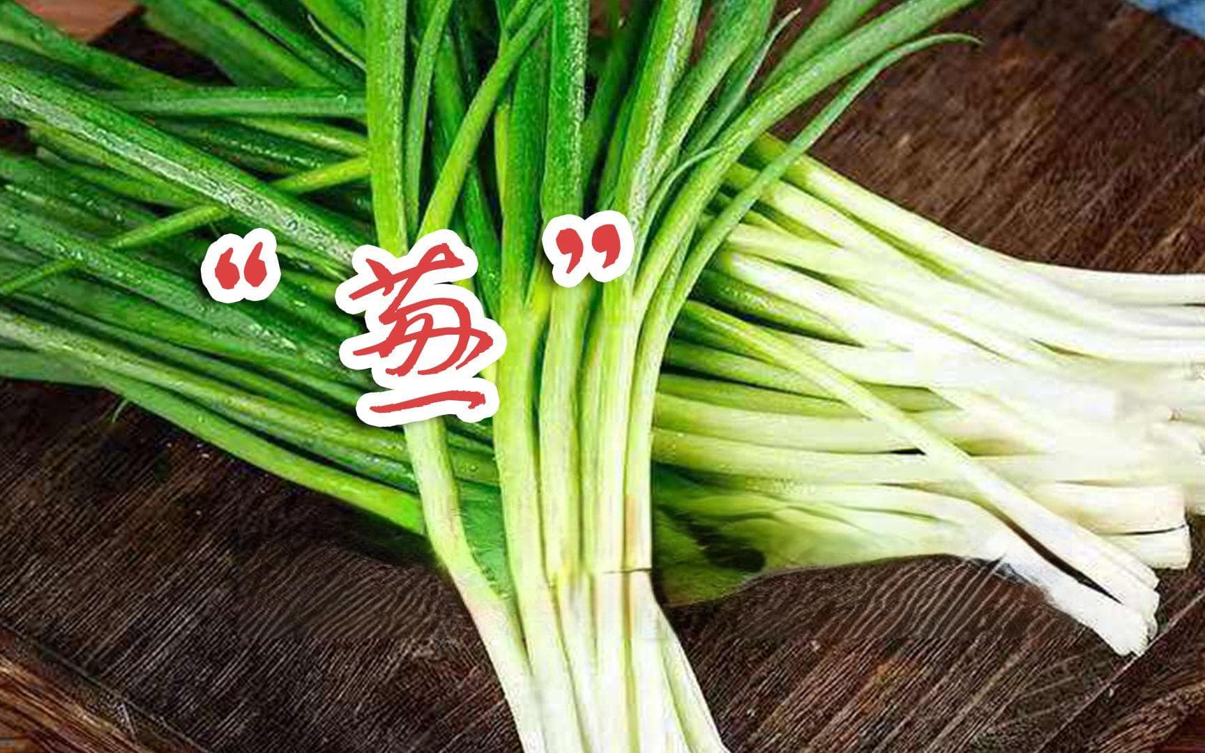 葱白连须的功效与作用(葱白连须的功效与作用，全面解析)
