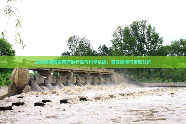 揭秘海南苗寨苗药：真实案例与专家解析