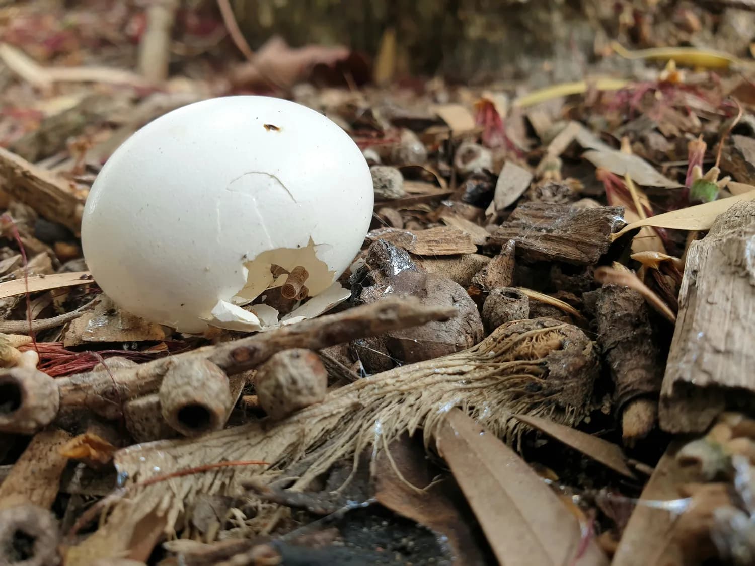 《权力的游戏》里的圣杯隐喻你读懂了吗？