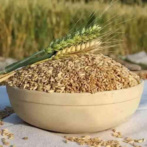 烘焙燕麦与普通燕麦的营养差异、加工过程及食用方法对比
