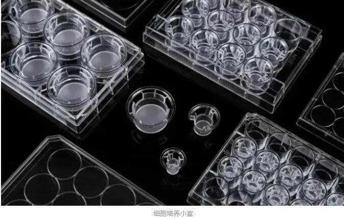 细胞培养小室PC膜和PET膜该怎么选？