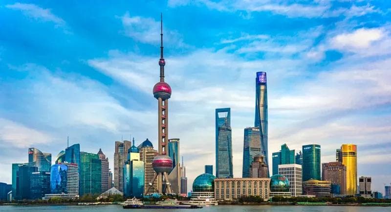 上海十大公园：城市绿洲里的自然秘境
