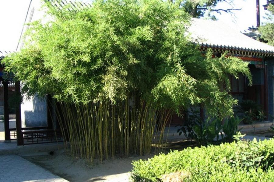 独乐寺：一座融合唐辽艺术的千年古刹