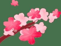 忙碌而无获？大学生如何摆脱学习困境