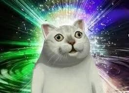 打破纪录！中国科学家让薛定谔的猫活了23分钟