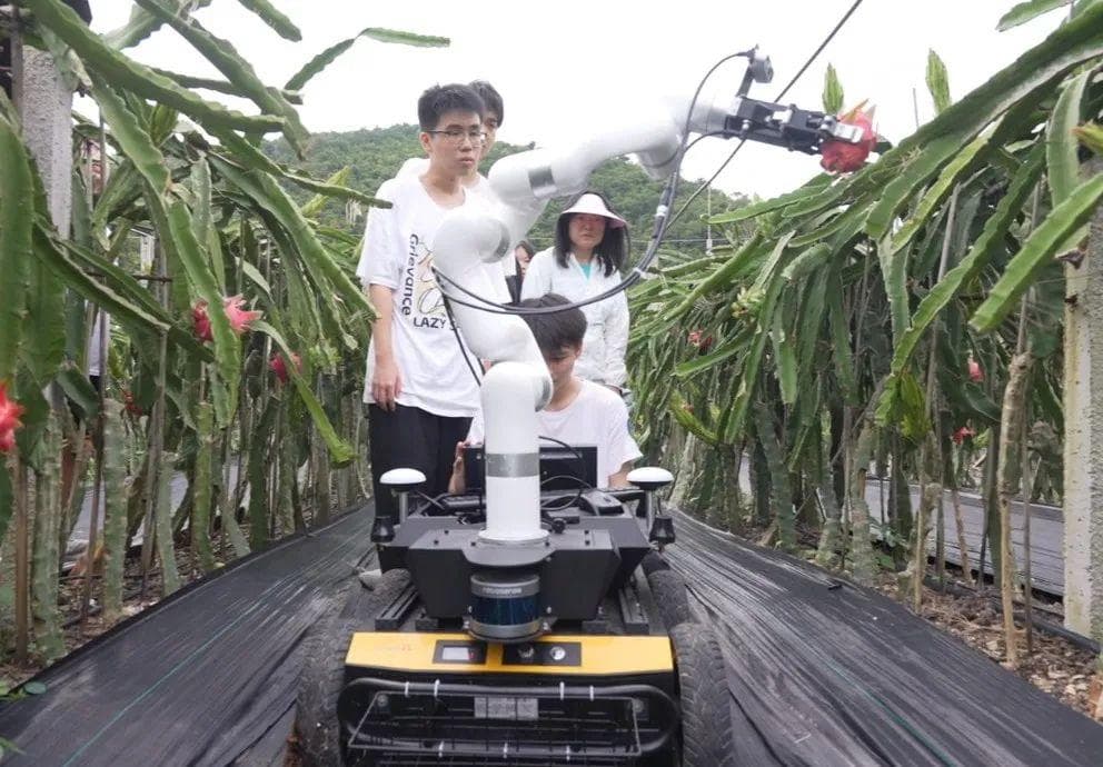 这群大学生研发的火龙果，吃起来嘎嘣脆啊（嚼嚼嚼）