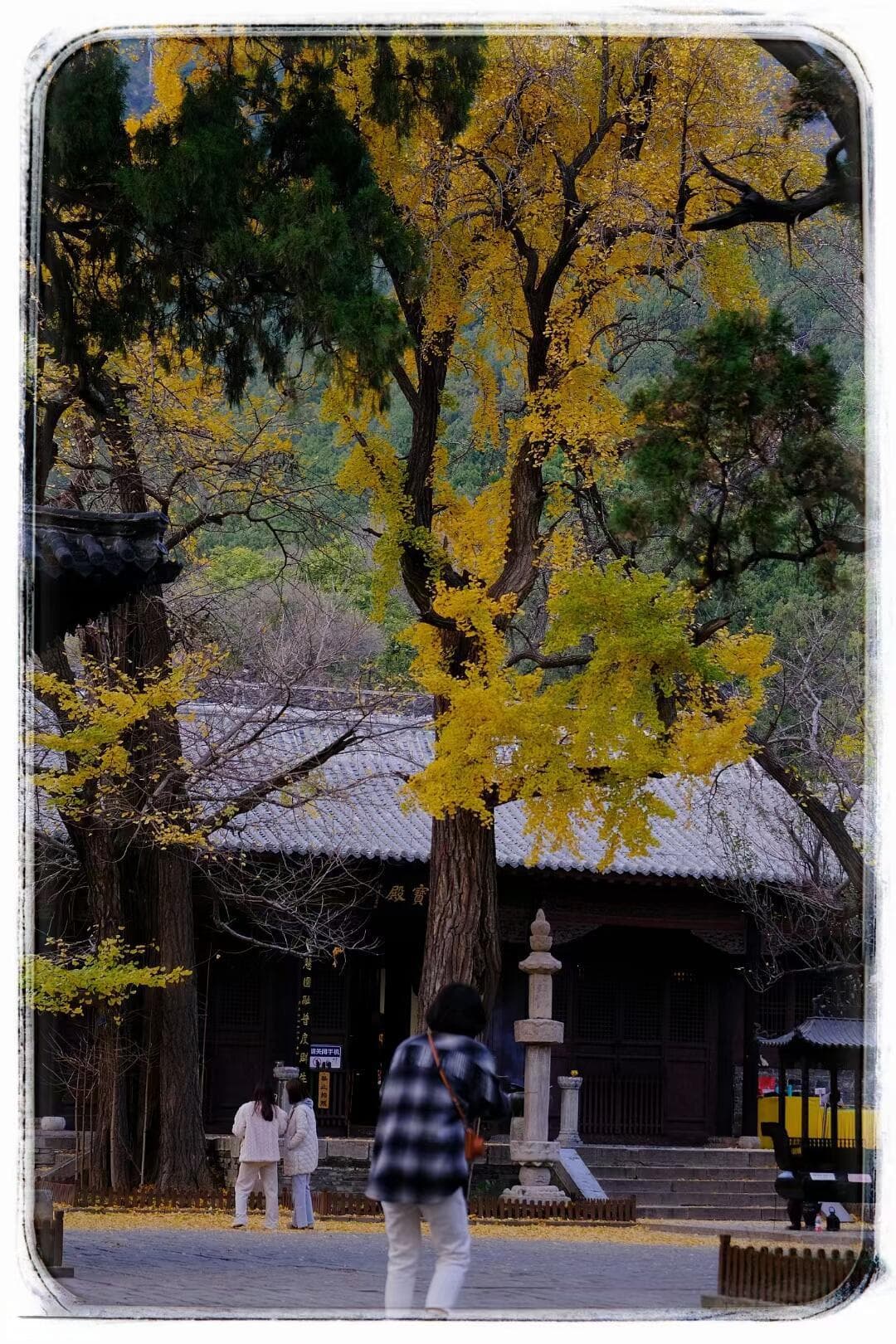 若水老师谈强迫症：如何有效减少精神的内耗？