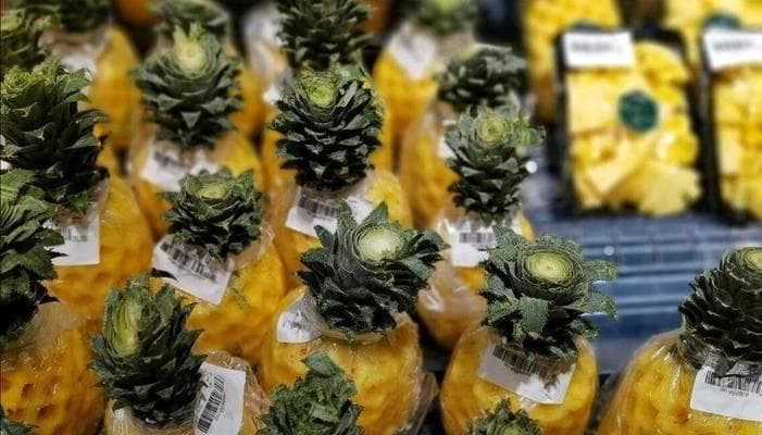 凤梨成熟季节全解析：哪个季节的凤梨最好吃？