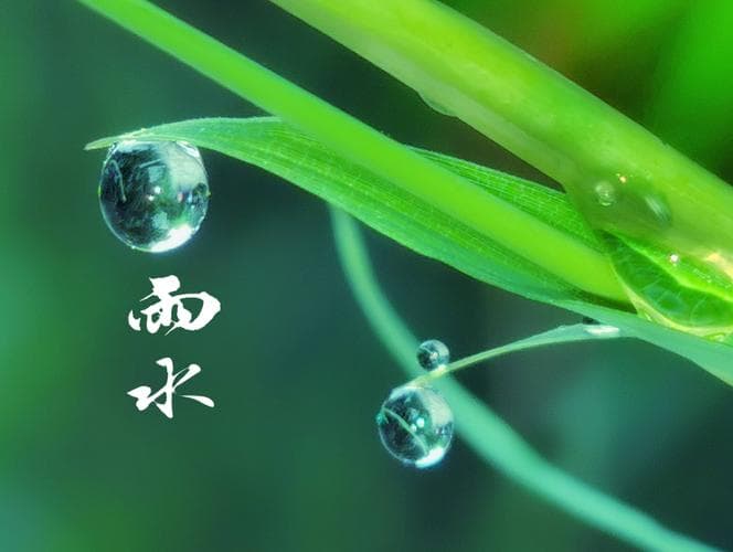 如何描写春雨：技巧、意象与表达方法大全！