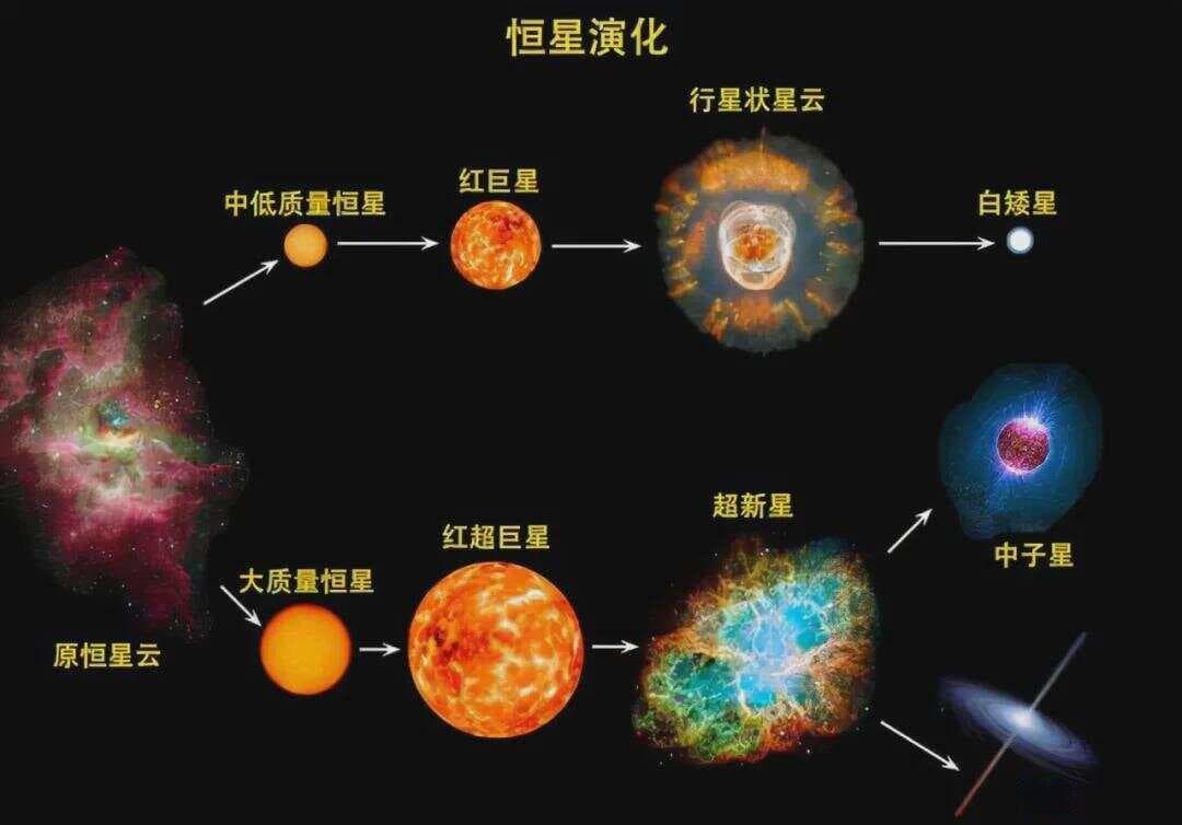 黑洞的密度无限大，到底是由什么元素组成的？
